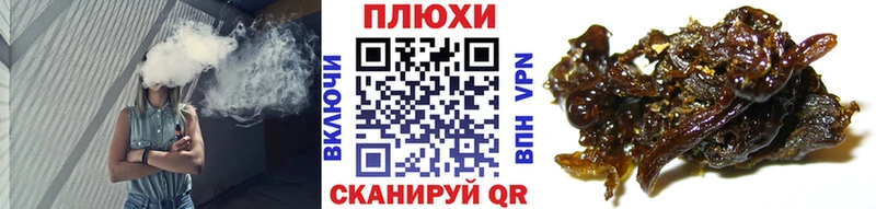 ГАШ Premium  Кинешма 