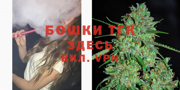 твердый Верхний Тагил