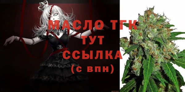 твердый Верхний Тагил