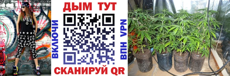 Канабис конопля Кинешма